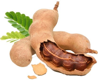Owoc Tamaryndu