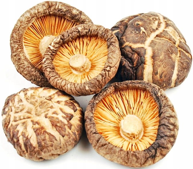 Suszone Grzyby Shitake Po Ku Twardnik Japoński Do Ramenu 1000g 1kg GREEN PAGODA