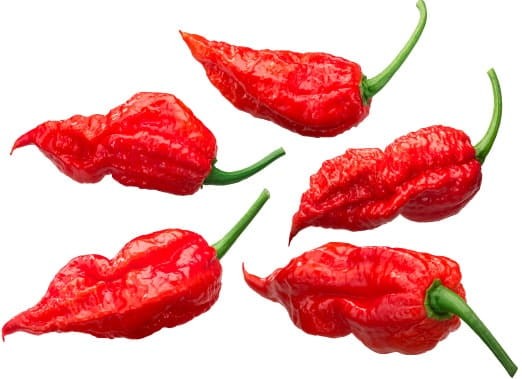 Gęsty Sos Ghost Pepper SUPER HOT Bardzo Ostry Chilli Sauce 115g ROLESKI