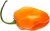 Ostry Sos Habanero Chili SUPER HOT Bez Konserwantów Mały 120g ROLESKI