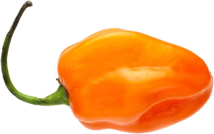 Ostry Sos Habanero Chili SUPER HOT Bez Konserwantów Mały 120g ROLESKI