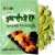 Pasta Wasabi w Proszku 100g