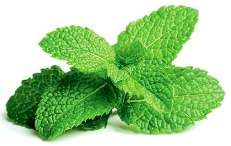 Cukierki Imbirowe Miętowe Rozgrzewające 56g SINA