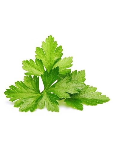 Tajski Sos z Kolendry Limonki i Chilli Coriander Lime 300ml THAI DANCER