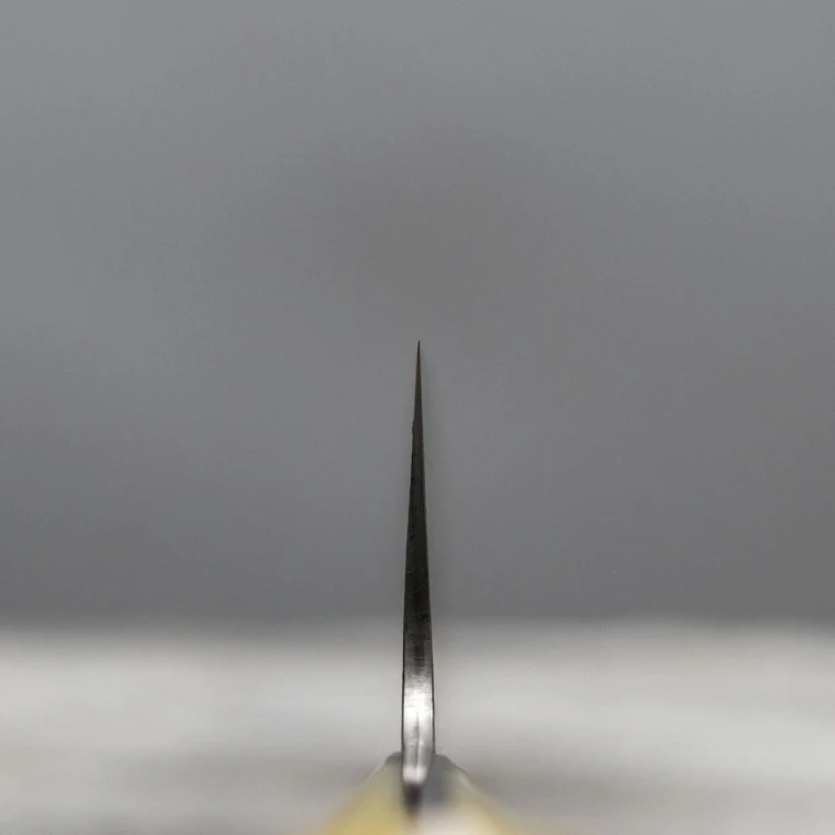 Takeshi Saji OBB Black VG-10 Color Japoński Nóż Szefa Kuchni 24cm