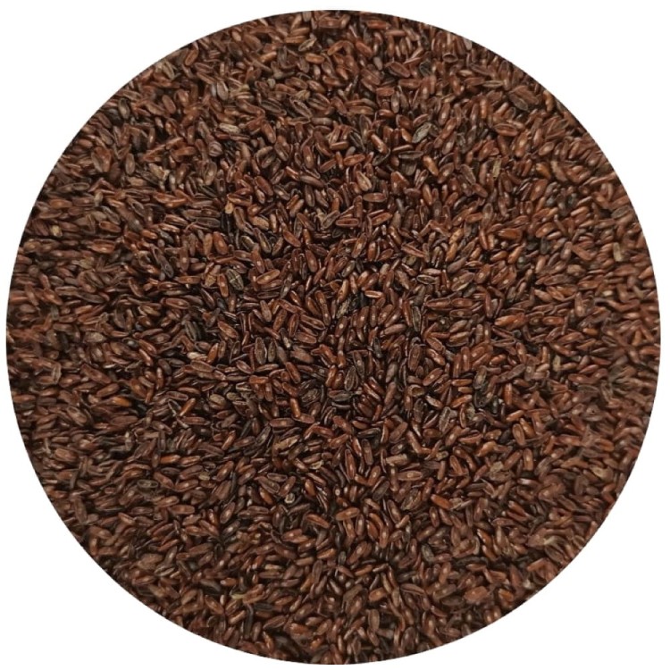 Polskie Nasiona Babka Płesznik Ziarno Naturalny Błonnik 1kg 1000g TARGROCH