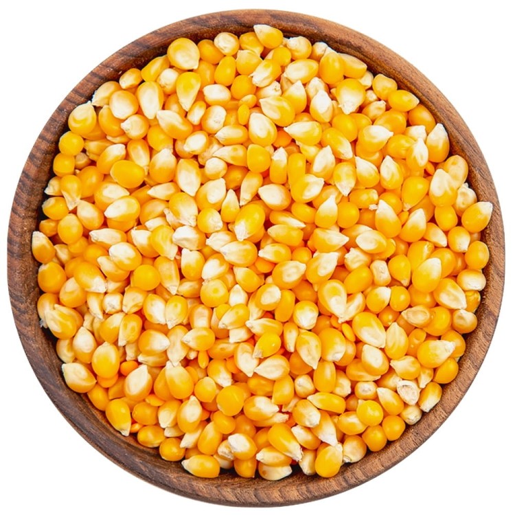 Ziarno Kukurydza Popcorn Do Prażenia Bez Soli 1kg =38 Litrów 1000g TARGROCH