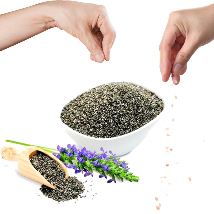 Nasiona Chia Naturalna 100% Szałwia Hiszpańska Odchudzanie Świeża 100g SKWORCU