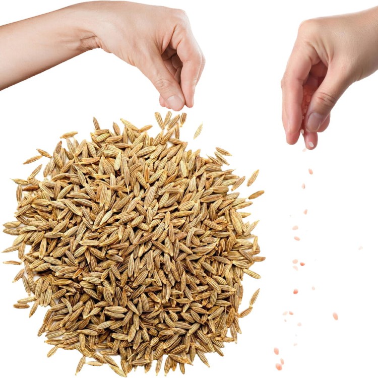 Kmin Rzymski Cały Kumin Ziarno Świeży Aromatyczny Whole Jeera 40g SKWORCU
