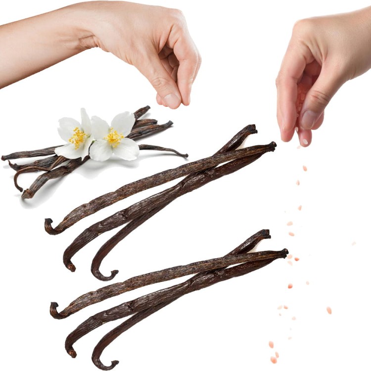 Laska Wanilii 16cm Wanilia w Laskach Naturalna Aromatyczna Świeża Jakość SKWORCU