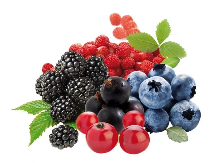 Syrop Koncentrat OWOCE LEŚNE Forest Fruits BEZ CUKRU 600ml TEISSEIRE