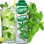 Syrop Koncentrat MIĘTA Mint BEZ CUKRU 600ml TEISSEIRE