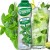 Syrop Koncentrat MIĘTA Mint BEZ CUKRU 600ml TEISSEIRE