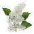 Syrop Koncentrat KWIAT CZARNEGO BZU Elderflower BEZ CUKRU 600ml TEISSEIRE