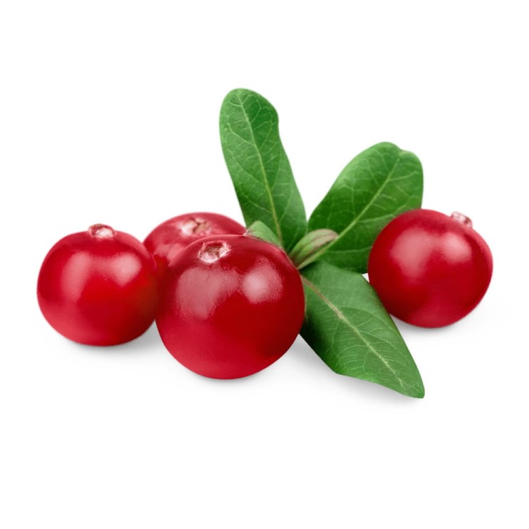 Syrop Koncentrat MALINA ŻURAWINA Raspberry Cranberry BEZ CUKRU 600ml TEISSEIRE