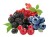 Syrop Koncentrat JABŁKO CZARNA PORZECZKA MALINA Apple Berrylicious Raspberry BEZ CUKRU 600ml TEISSEIRE