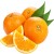Syrop Koncentrat ORANGE SPRITZ BEZ CUKRU 600ml TEISSEIRE