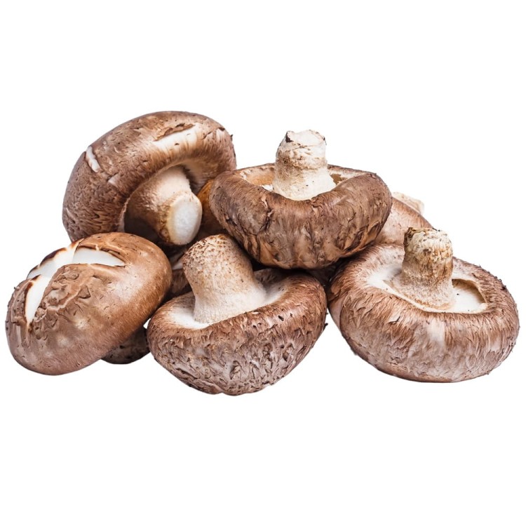Chińskie Grzyby SHIITAKE Tonko Poku Gotowe w Zalewie Do Woka 284g DIAMOND