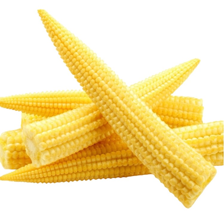 Mini Małe Kolby Kukurydzy Mała Kukurydza Do Smażenia Na Woku 425g GOLDEN TURTLE BRAND