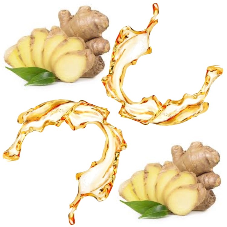 WIELOPAK Napój Piwo Bezalkoholowe Imbirowe z Jamajki Ginger Beer 24x3300ml OLD JAMAICA