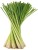 Mielona Trawa Cytrynowa Pasta z Trawy Cytrynowej 120g HOUSE OF ASIA
