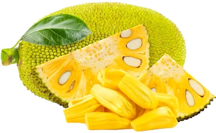 Tajskie Owoce Jackfruit w Słodkiej Zalewie Dżakfrut Do Deserów 565g CHAOKOH