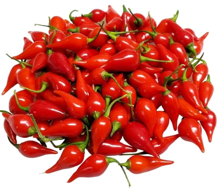 Papryka Pepperoni Czerwona Baby Całe Papryczki w Zalewie 325g CASA DE MEXIC