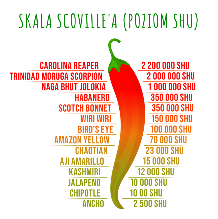 Ognisto Owocowe Żelki Fasolki Ostre Owoce JELLY BELLY 60g HOT CHIP