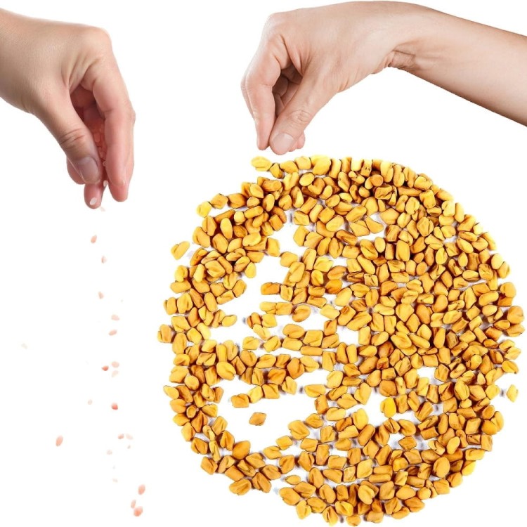 Kozieradka Ziarno Nasiona Kozieradki Methi Naturalna Zdrowa Przyprawa 50g SKWORCU