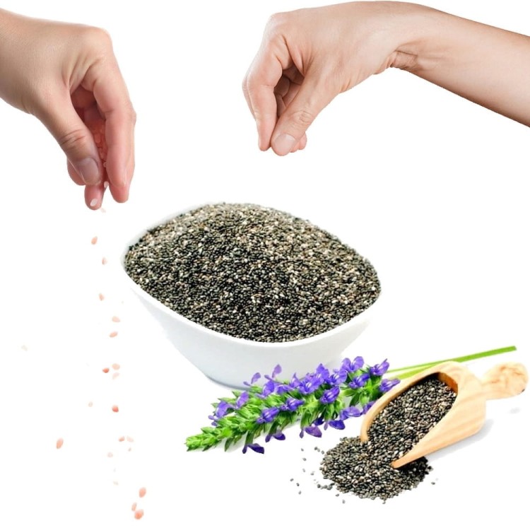 Nasiona Chia Naturalna 100% Szałwia Hiszpańska Odchudzanie Świeża 100g SKWORCU