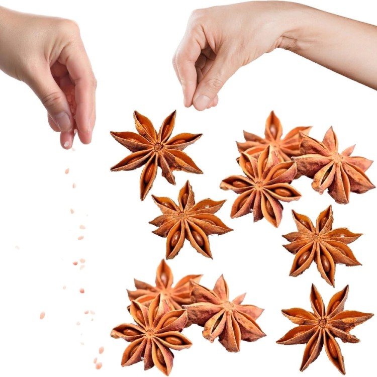 Anyż Gwiaździsty Gwiazdkowy Kruszone Gwiazdki Nasiona Anyżu Anise Stars 20g SKWORCU