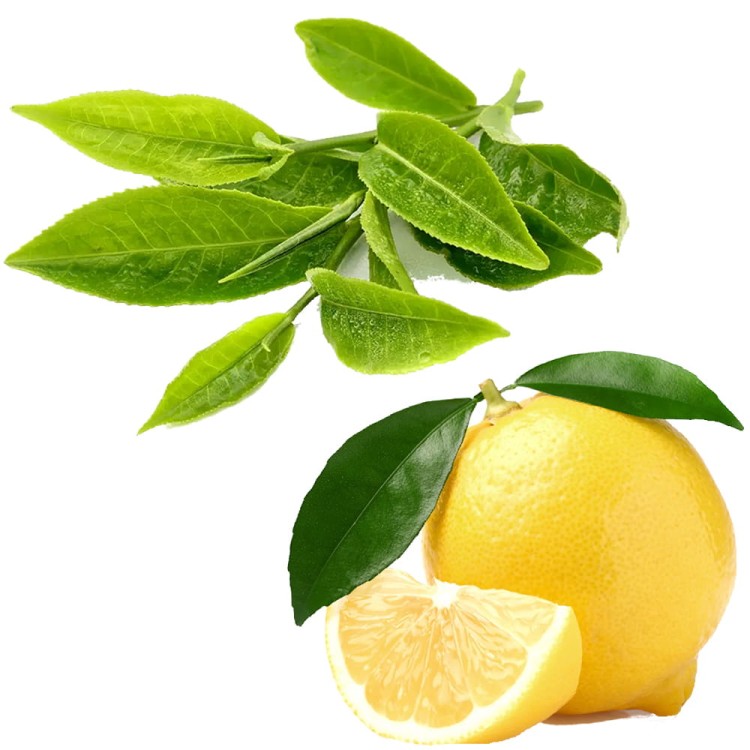 Cukierki Zielona Herbata z Cytryną Nadzienie Cytrynowe 135g AGEL