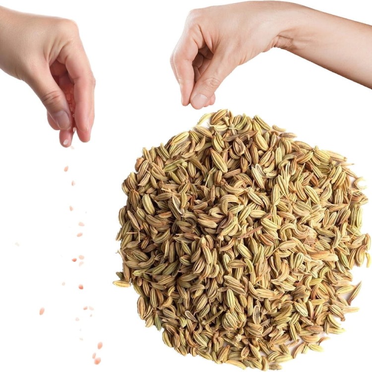 Indyjski Koper Włoski Nasiona Ziarno Fenkuł w Nasionach Fennel 50g SKWORCU