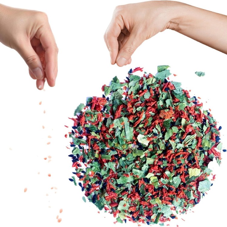 Pomidory z Czarnuszką i Czosnkiem Niedźwiedzim Czarnuszka Czosnek Pomidory 50g SKWORCU