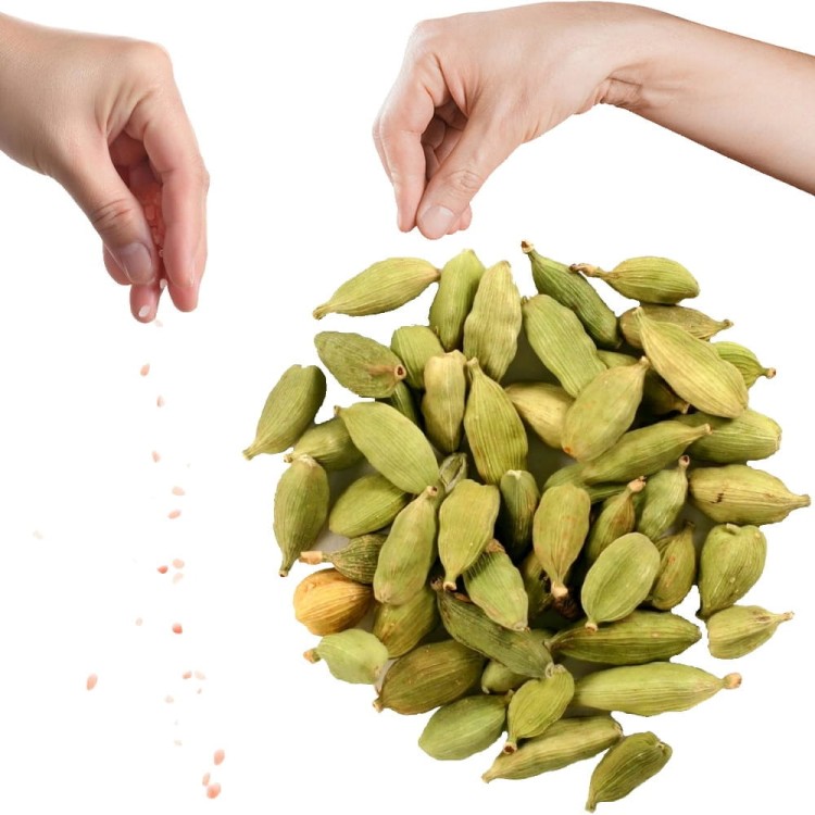 Kardamon Suszony Zielony Naturalne Całe Ziarno Nasiona Kardamonu Strączki 15g SKWORCU
