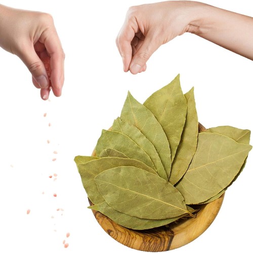 Liście Laurowe Suszone Całe Aromatyczne Naturalne Świeże Liść Laurowy 70g SKWORCU