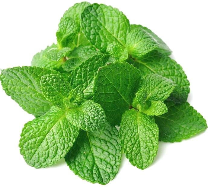 ZESTAW 4 RODZAJE Cukierki Imbirowe Original Cytryna-Mód Mango i Mięta 4x 125g GINGERBON