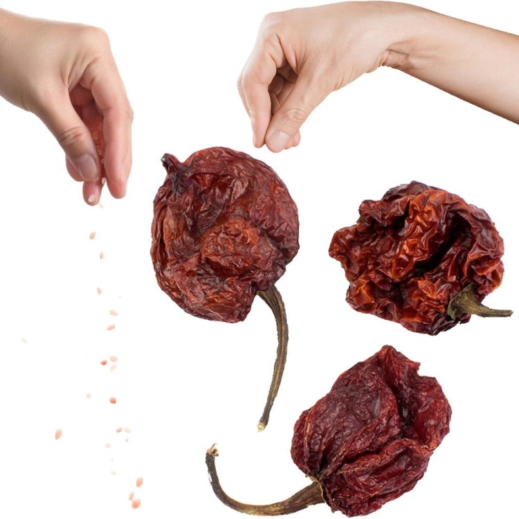 Papryczki Trinidad Scorpion T-Butch 1,4 mln SHU Bardzo Ostre 10g SKWORCU