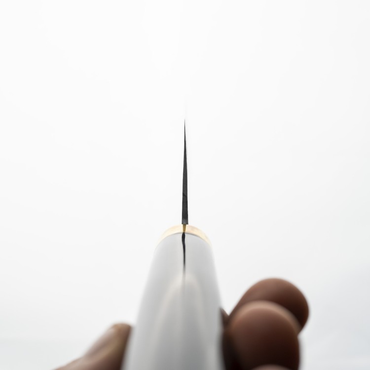 Takeshi Saji Art Fuji On Lake Ręcznie Kuty R-2 Japoński Nóż Kuchenny Nakiri 17cm + Saya