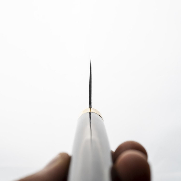 Takeshi Saji Art Fuji Unique Ręcznie Kuty R-2 Japoński Nóż Kuchenny Nakiri 17cm + Saya