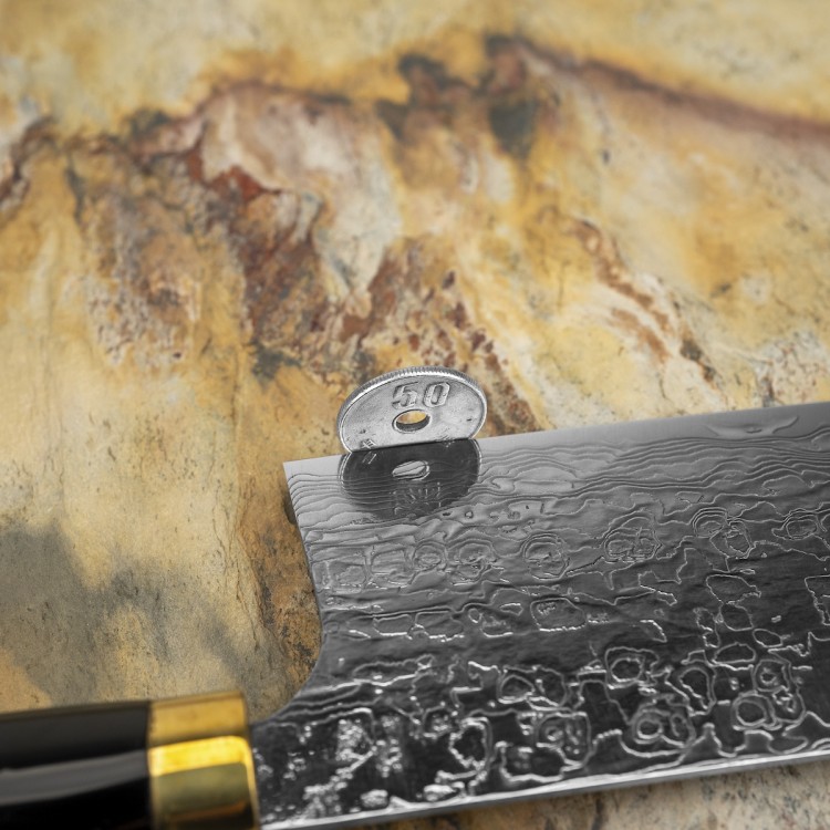 Takeshi Saji Art Tori Fuji On Lake Ręcznie Kuty R-2 Japoński Nóż Kuchenny Nakiri 17cm + Saya