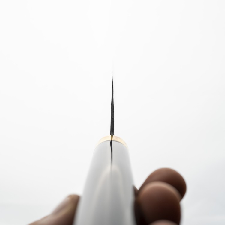 Takeshi Saji Art Tori Fuji On Lake Ręcznie Kuty R-2 Japoński Nóż Kuchenny Nakiri 17cm + Saya