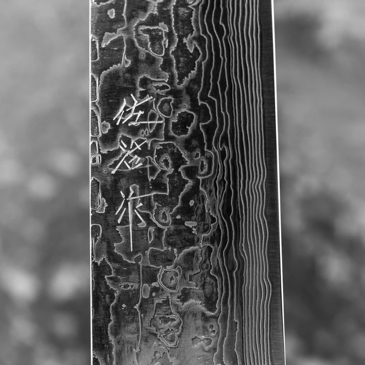Takeshi Saji ME Ręcznie Kuty R-2 Diamond Japoński Nóż Kuchenny Sujihiki 27cm