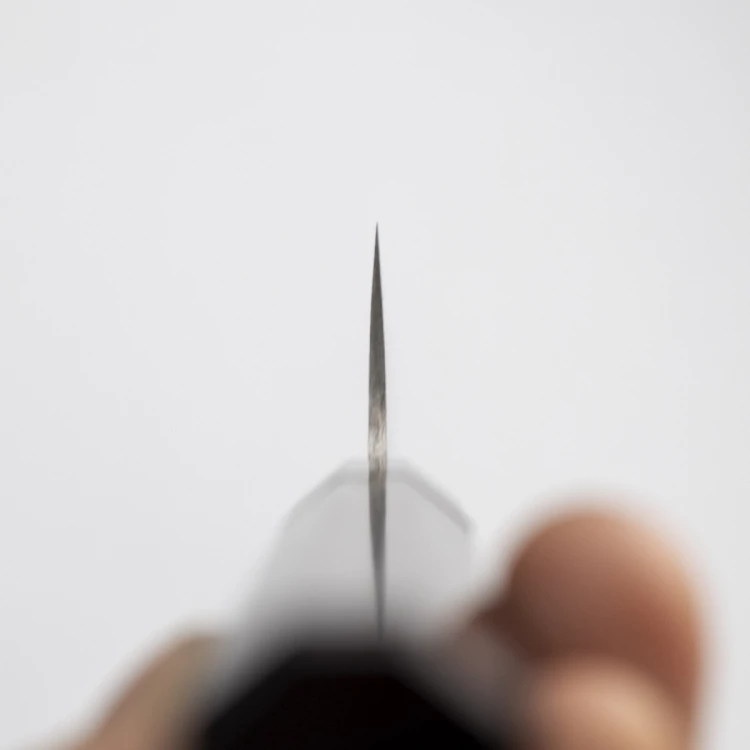 Takeshi Saji ME Ręcznie Kuty R-2 Diamond Japoński Nóż Kuchenny Sujihiki 27cm
