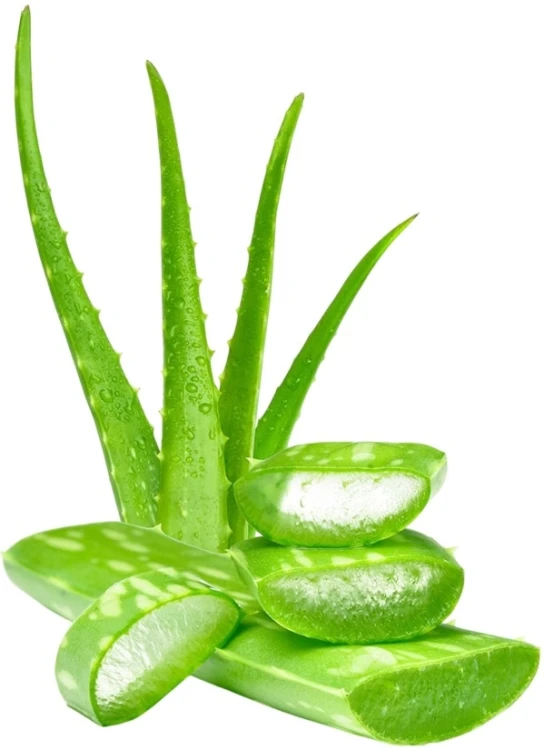 Herbata Koreańska Aloe Aloes Orzeźwiająca Ice & Hot 480g NOKCHAWON