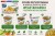 Błyskawiczny Smażony Ryż Instant Wegetariański Vegetarian Fried Rice 80g MAMA