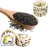 Zestaw Składników Do Przygotowania Sushi Dla Początkujących 17 Produktów - Rozmiar XL