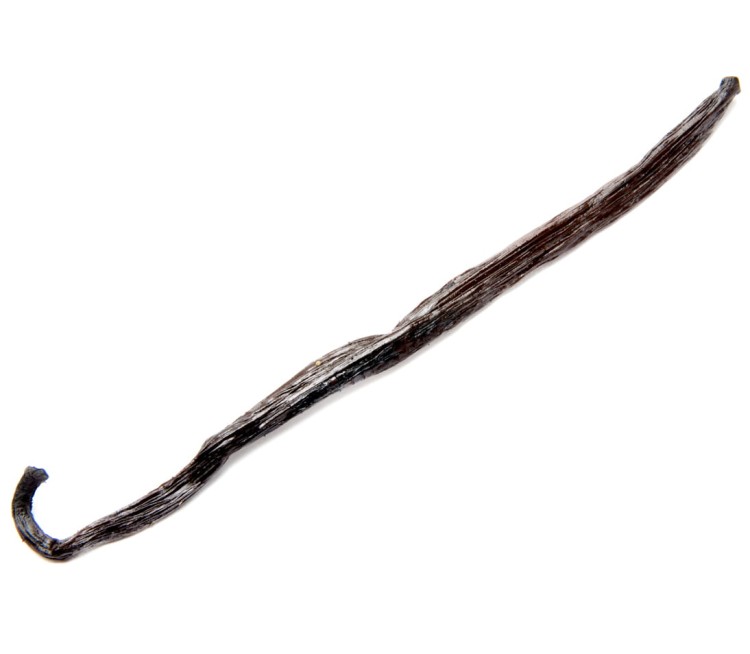 Laska Wanilii 16cm Wanilia w Laskach Naturalna Aromatyczna Świeża Jakość SKWORCU