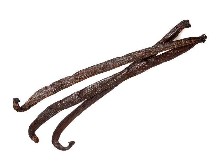 Laska Wanilii 16cm Wanilia w Laskach Naturalna Aromatyczna Świeża Jakość SKWORCU