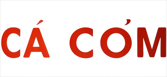 Producent: Ca Com (przejdź do produktów)